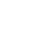 Intradyn-SOC2-100PX